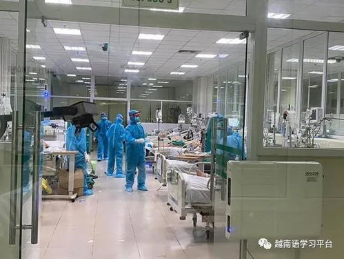 越南疫情最新 新增276例累計確診4112例，北寧省出現(xiàn)首例死亡病例